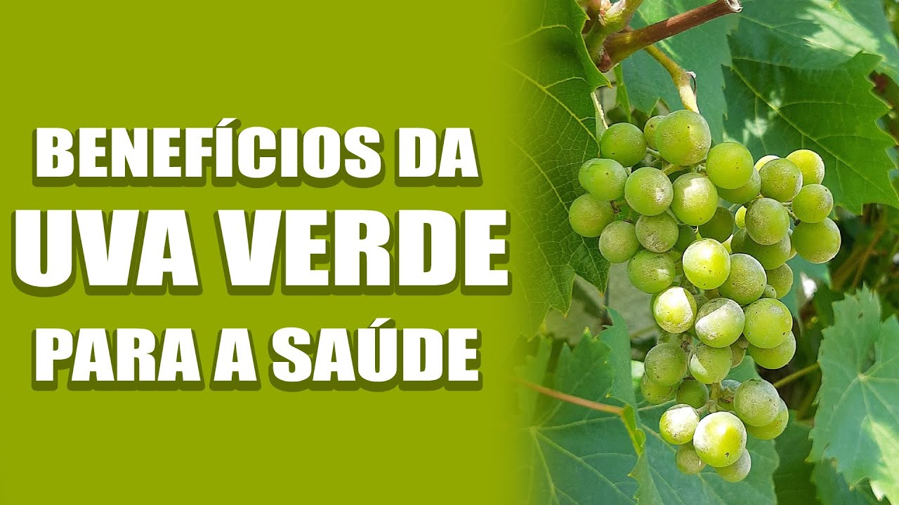 Quais os benef&iacute;cios da uva verde para a sa&uacute;de? Confira aqui!
