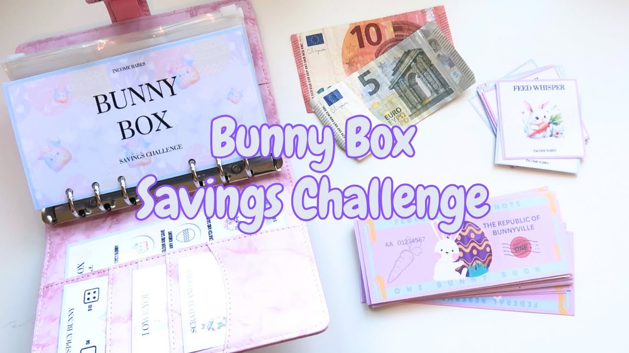 LET'S START THE BUNNY BOX | SAVING CHALLENGE