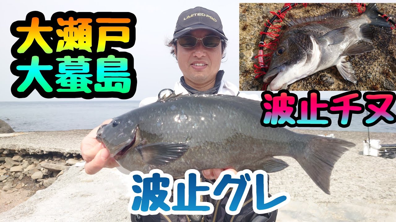 グレ釣りハイシーズン終盤戦❗大瀬戸、大蟇島波止グレ❗マジカグレ❗