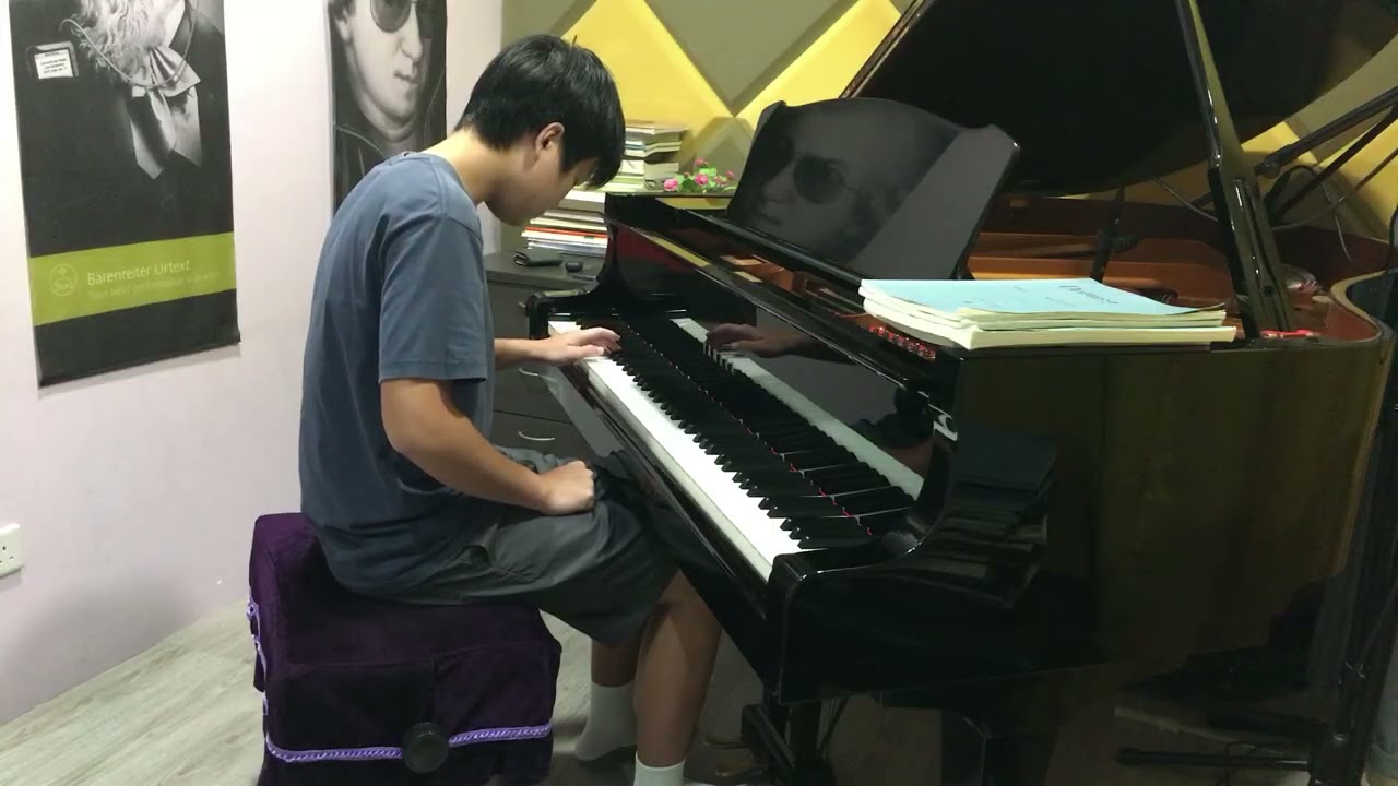 Li Shanglin - June Barcarolle by Tchaikovsky