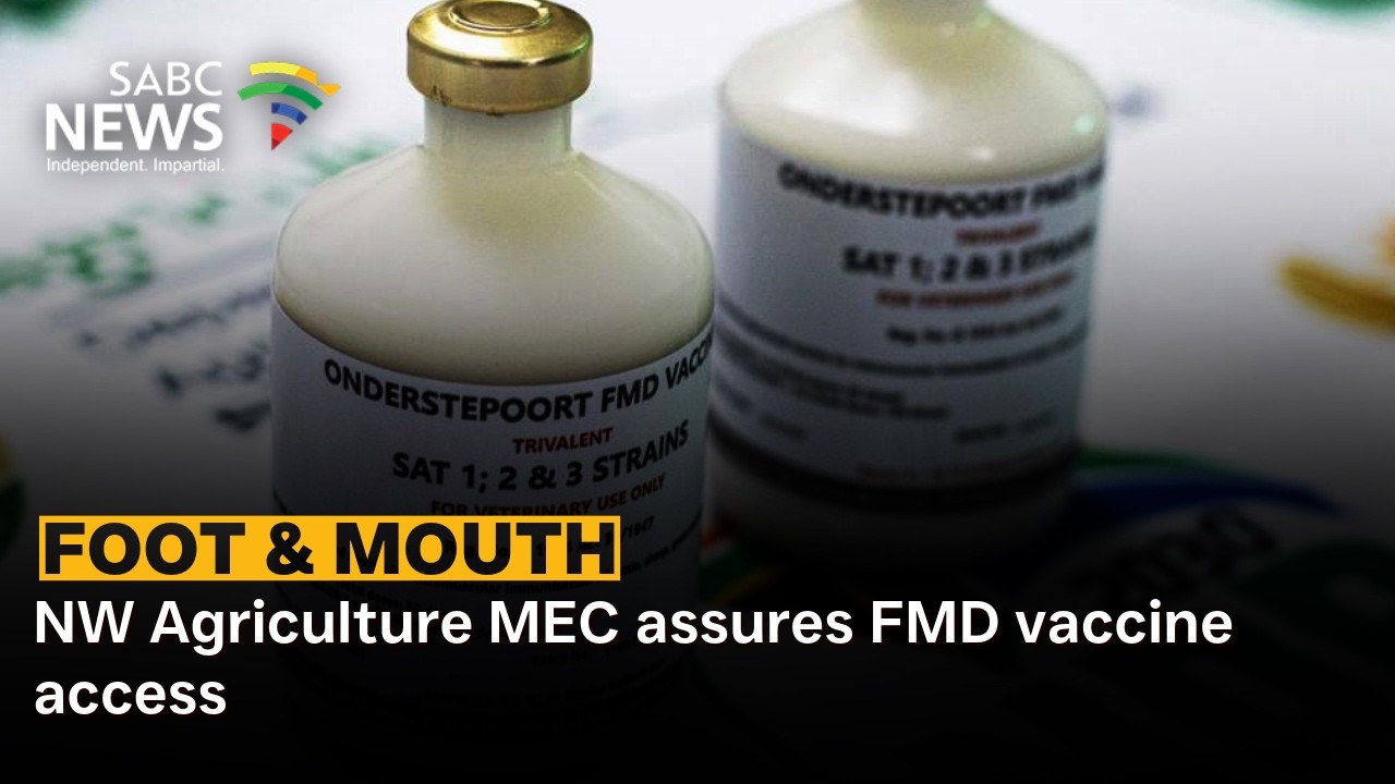 NW Agriculture MEC assures FMD vaccine access