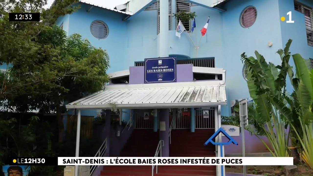 Des puces à l’écoles des Baies Roses à Saint-Denis, l’école fermée ce vendredi.