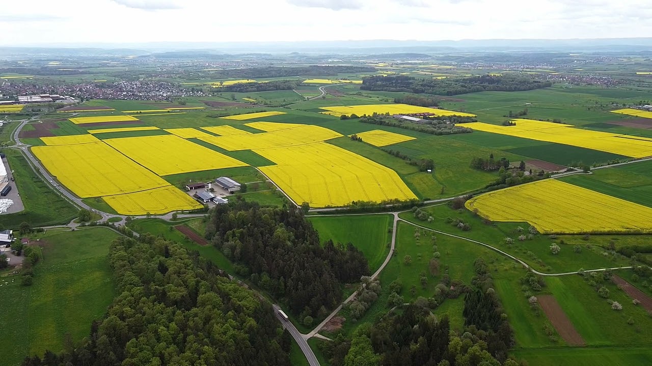 Nagold von oben Wolfsberg Steinberg