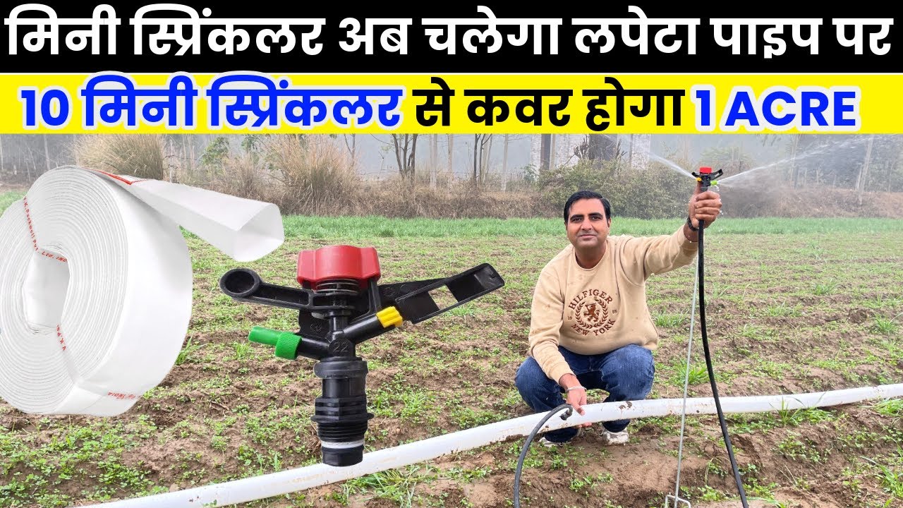 10 मिनी स्प्रिंकलर से होगा 1 Acre कवर । Mini Sprinkler with Lapeta pipe #microirrigation