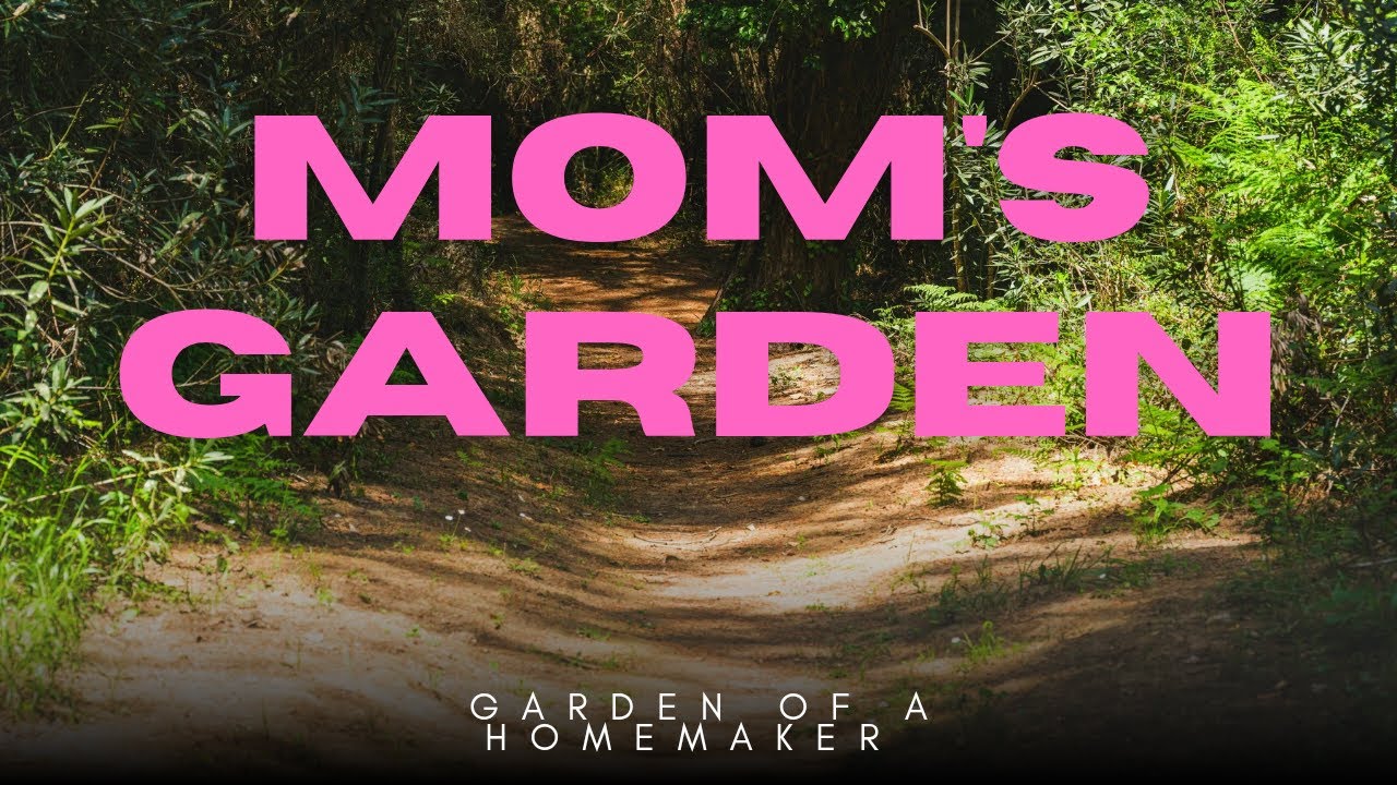 English vlog# English language #english #mom #garden#vlog#garden tour#teacher# kerala# india#