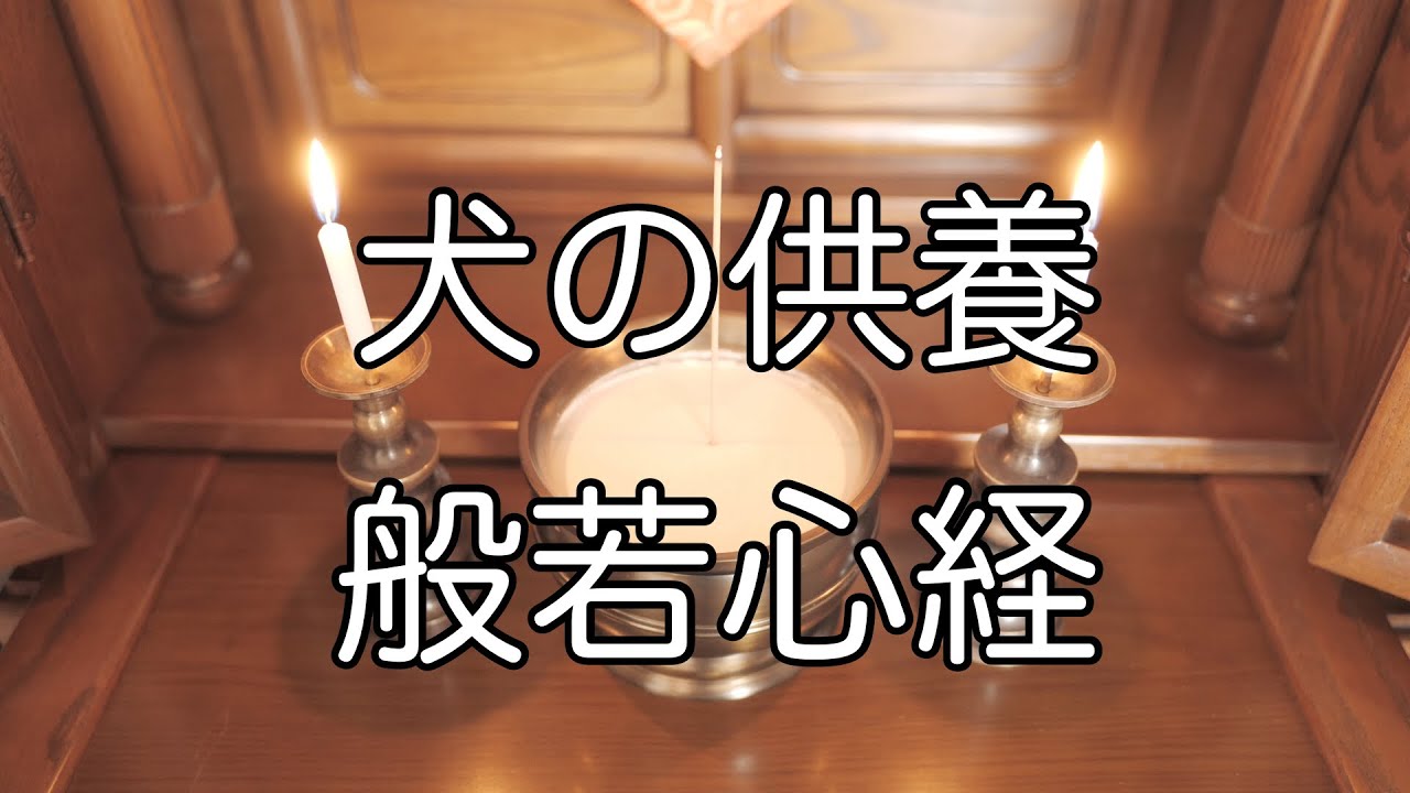 一緒に過ごしてくれた愛犬の供養に 般若心経