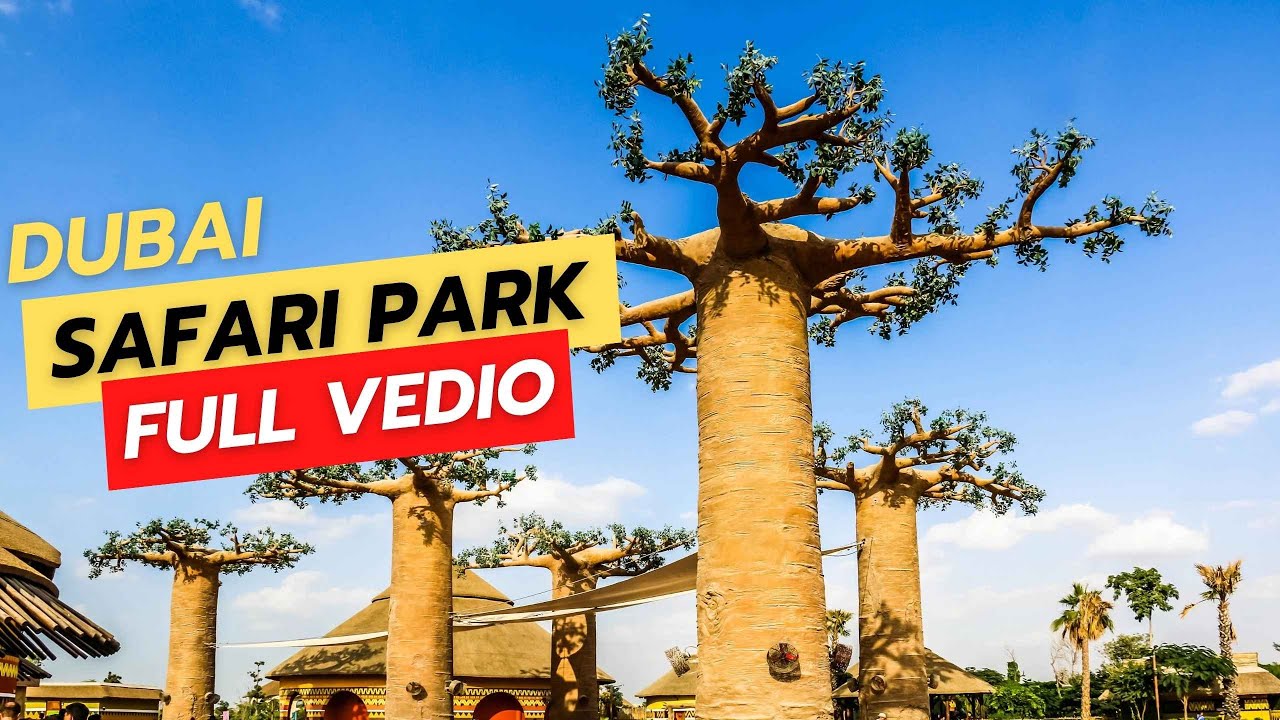 DUBAI's LARGEST WILDLIFE PARK | SAFARI PARK | A WORLD OF IMMERSIVE EXPERIENCES