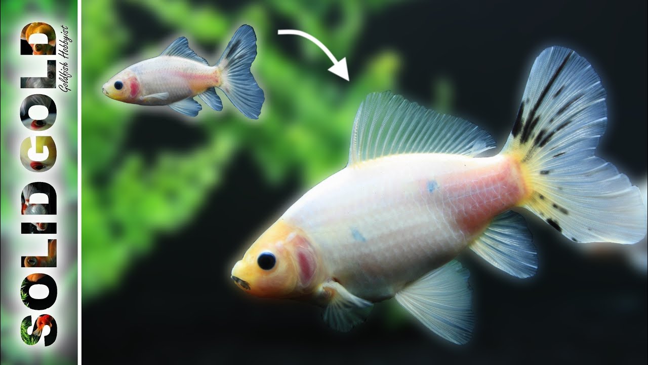 Ghost Bristols | 6 Months Later