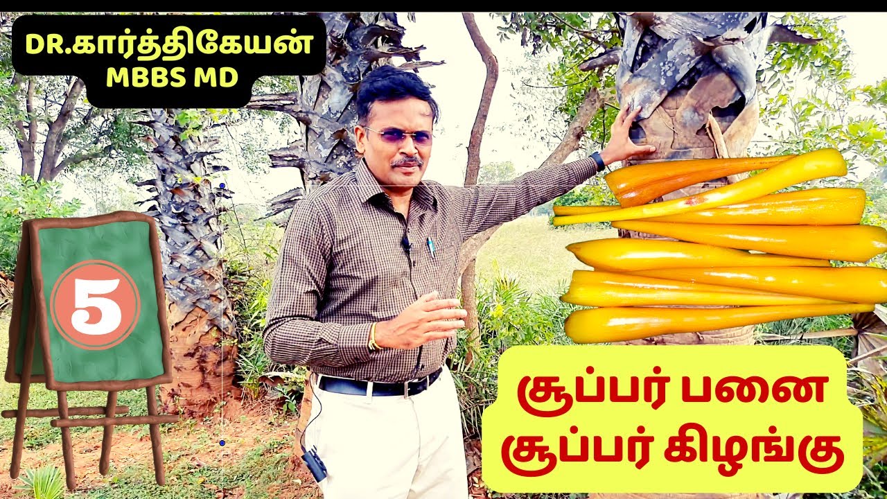 அட..பனங்கிழங்கிற்கு இவ்வளவு நன்மைகளா? palmyra sprout eating health benefits #drkarthikeyan snack