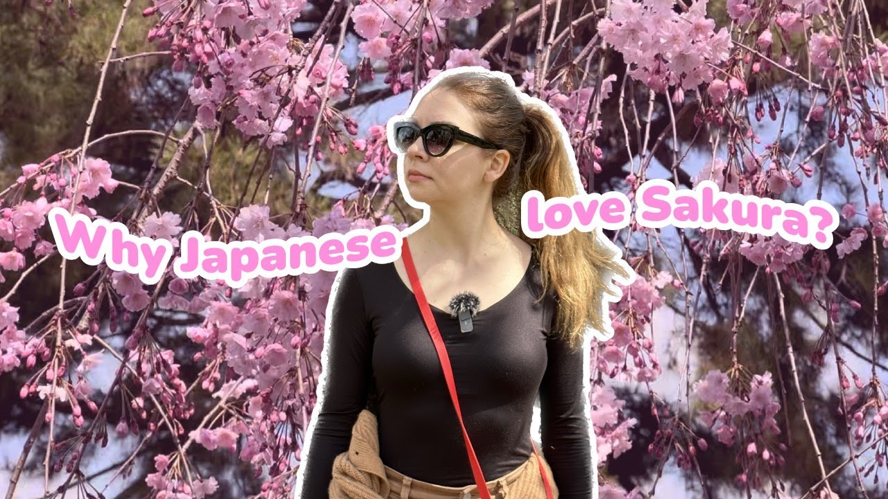 Japan’s Obsession with SAKURA 🌸 🤔