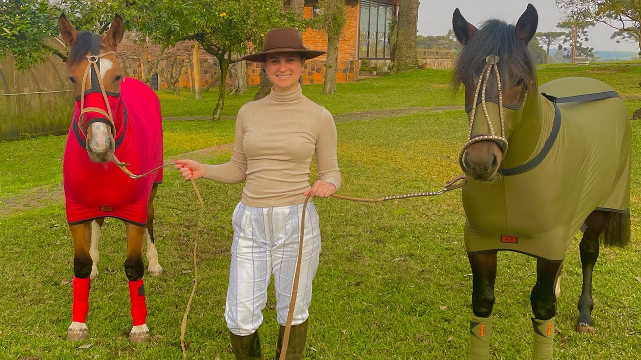 Lida com os Cavalos para Exposição Morfológica