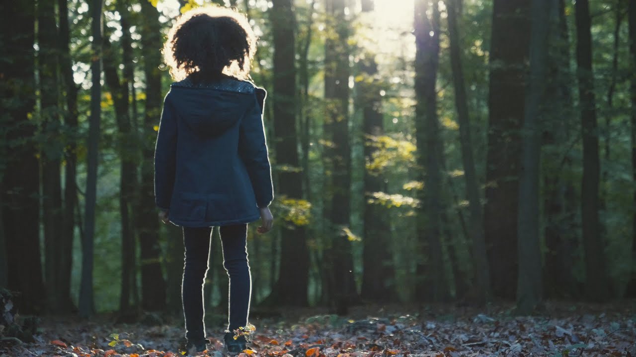 GLOW IN THE WOOD | cinematic short film GH5  V-LOG