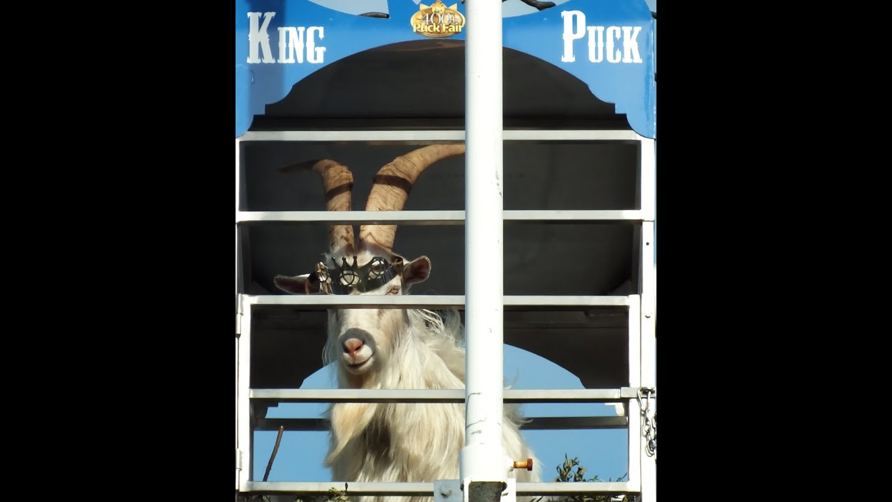 King Puck - The Great Legend OF Old