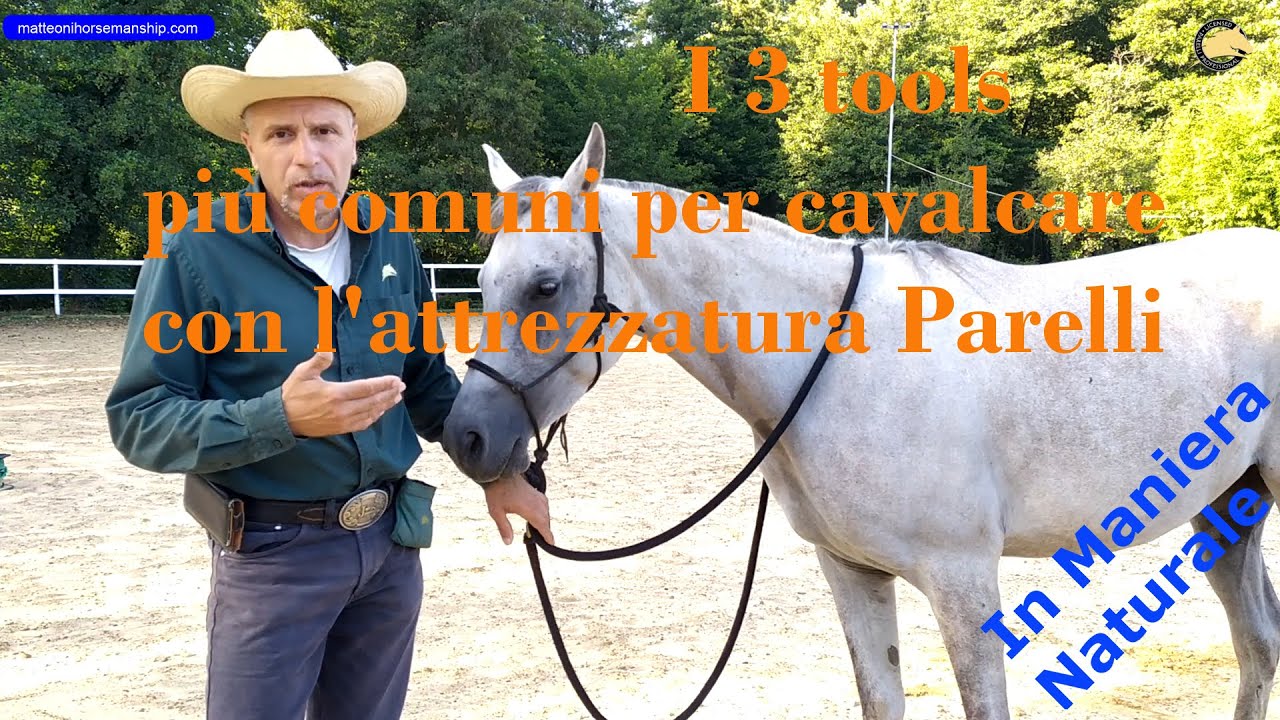 I 3 tools più comuni per cavalcare con l'attrezzatura Parelli