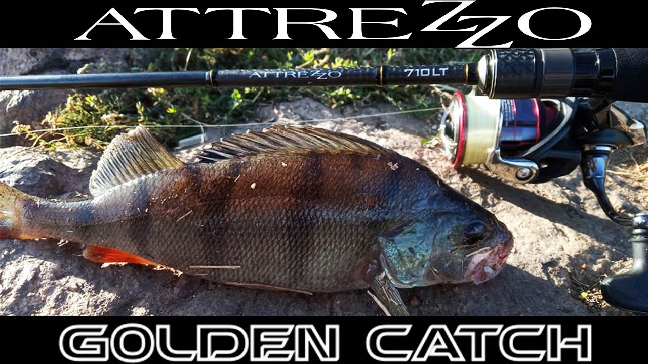 РЫБАЛКА С НОВИНКОЙ GOLDEN CATCH ATTREZZO 710LT