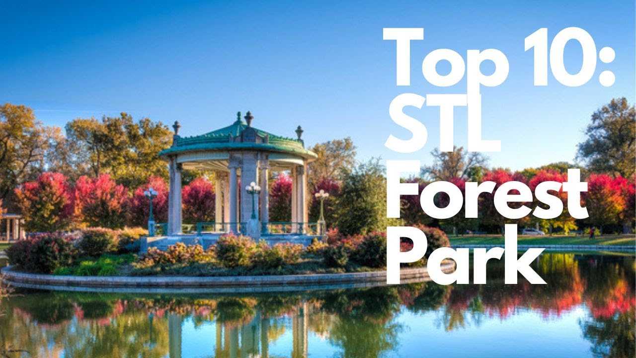 Discovering the Hidden Gems According to a Local: 10 Must-Do Activities in St. Louis Forest Park!