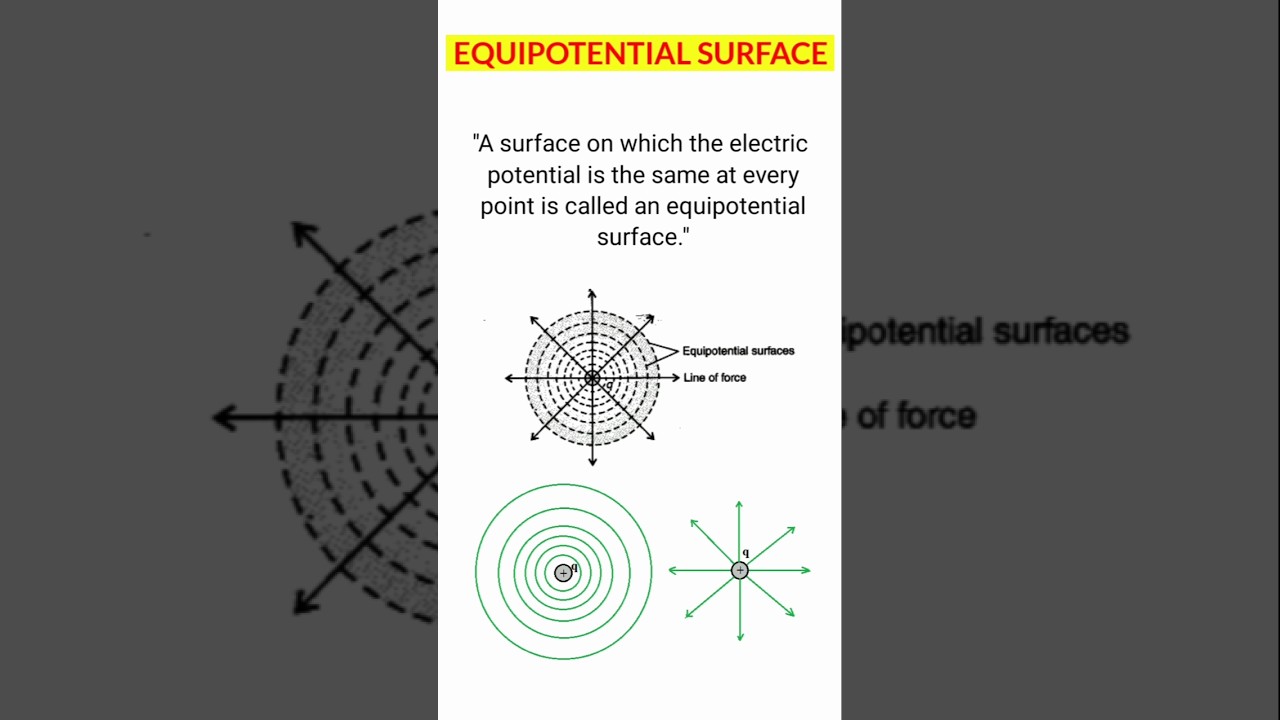 What is an Equipotential Surface ? Class 12th Physics #physics#ncert#growthstudy