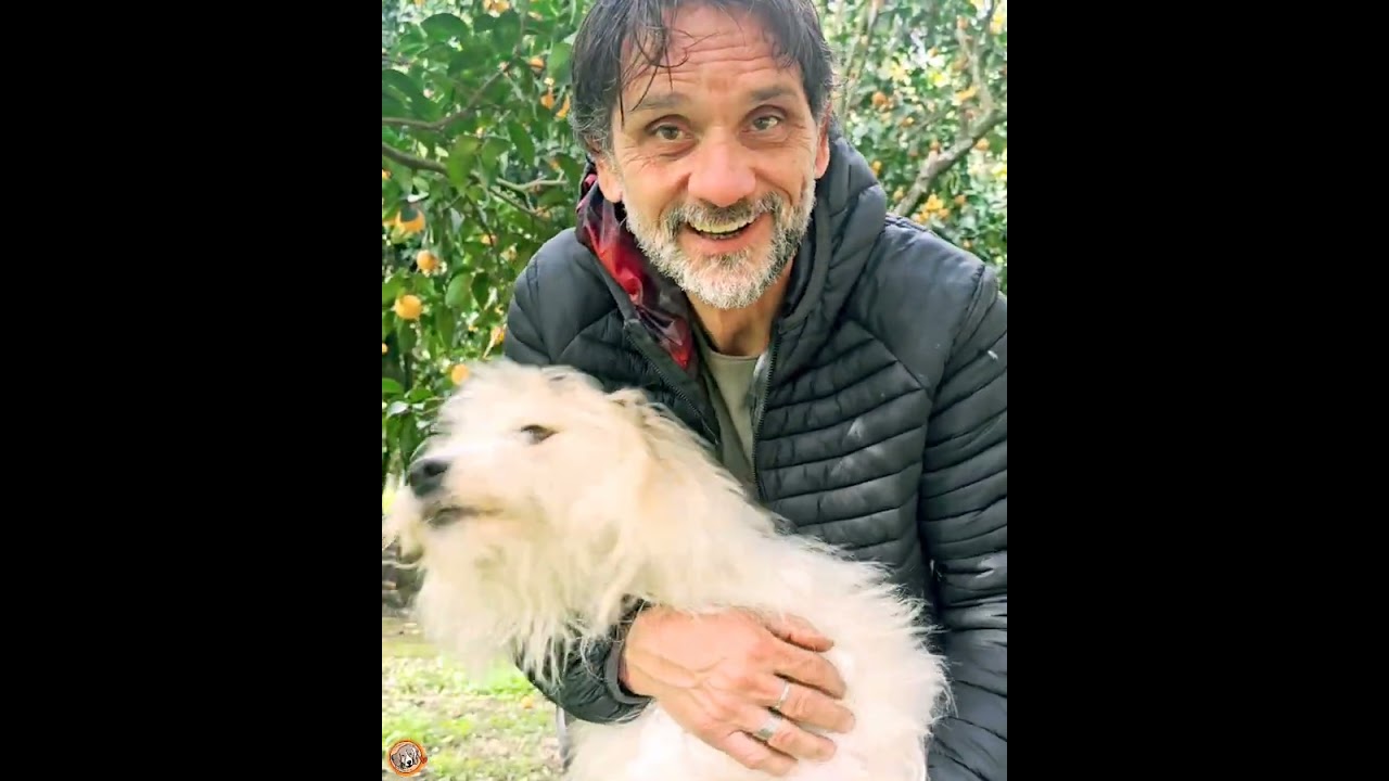 AMLETO