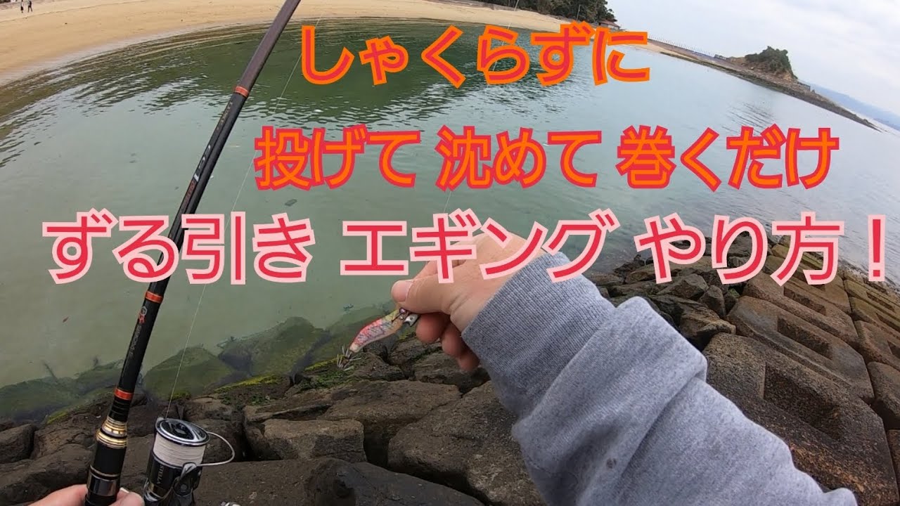 しゃくらない、ズル引きエギング やり方講座！長崎市伊王島！22 STELLA がまかつラグゼ ヤマシタのエギ