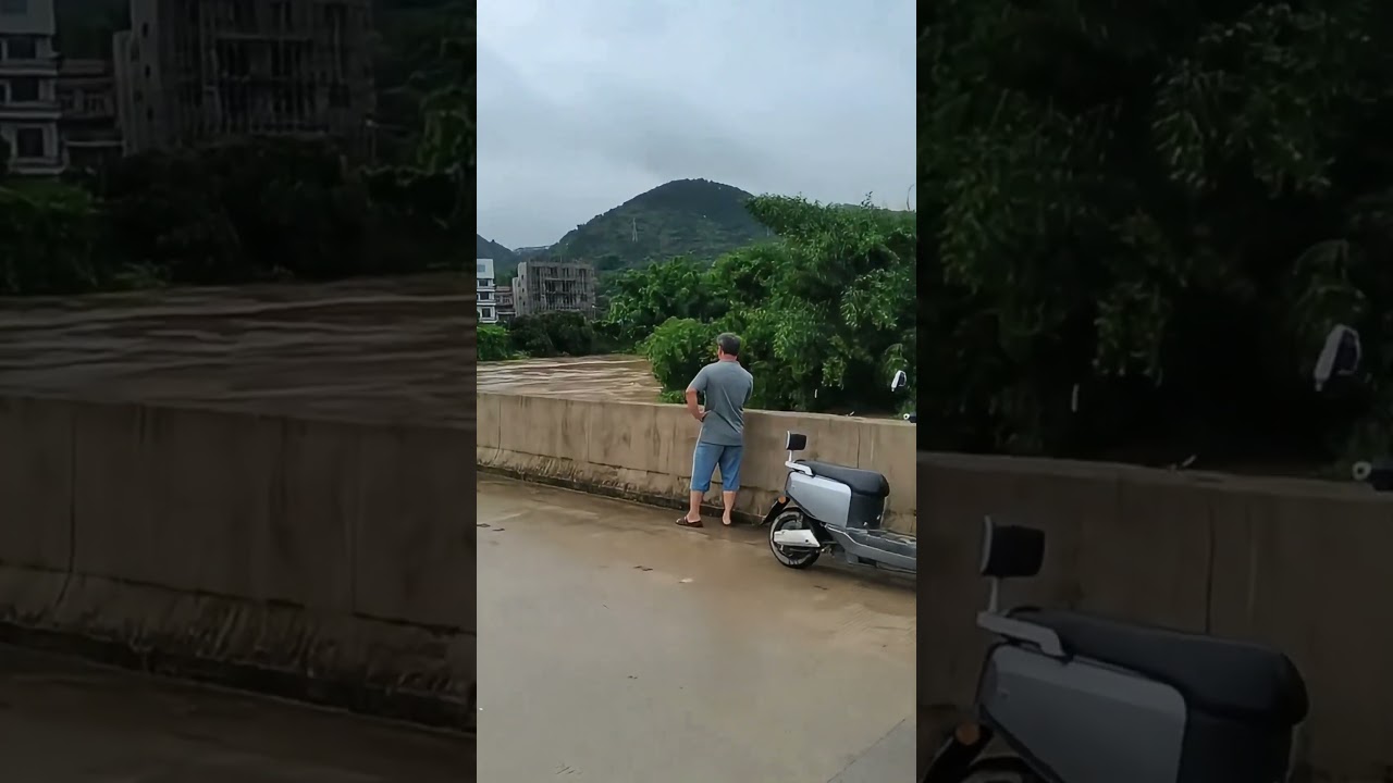 Close Call : Watch a Bridge Survive Tree Impact