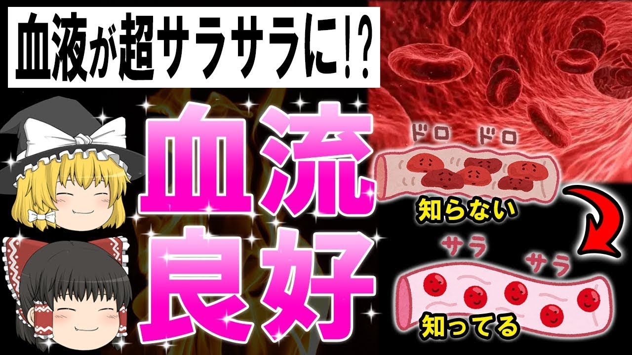 【総集編】血流がみるみるよくなる食べ物