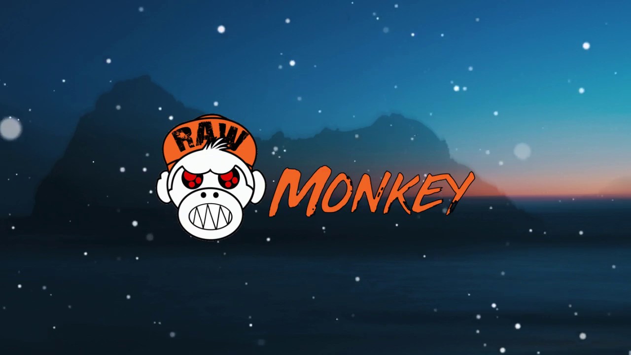 Stineaux - Who The F*** Are You (UPTEMPO) [220 BPM MONKEY TEMPO]