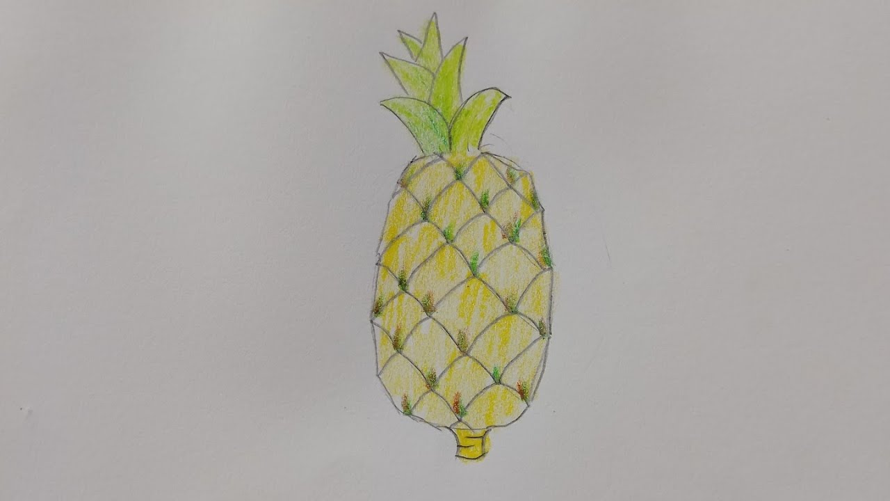 How to draw a pineapple step by step drawing art video (very easy)