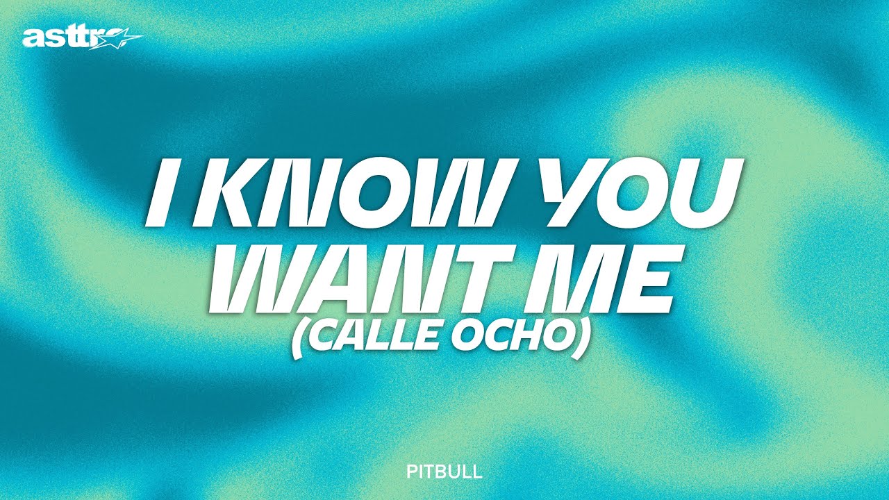 PITBULL - I KNOW YOU WANT ME (CALLE OCHO)