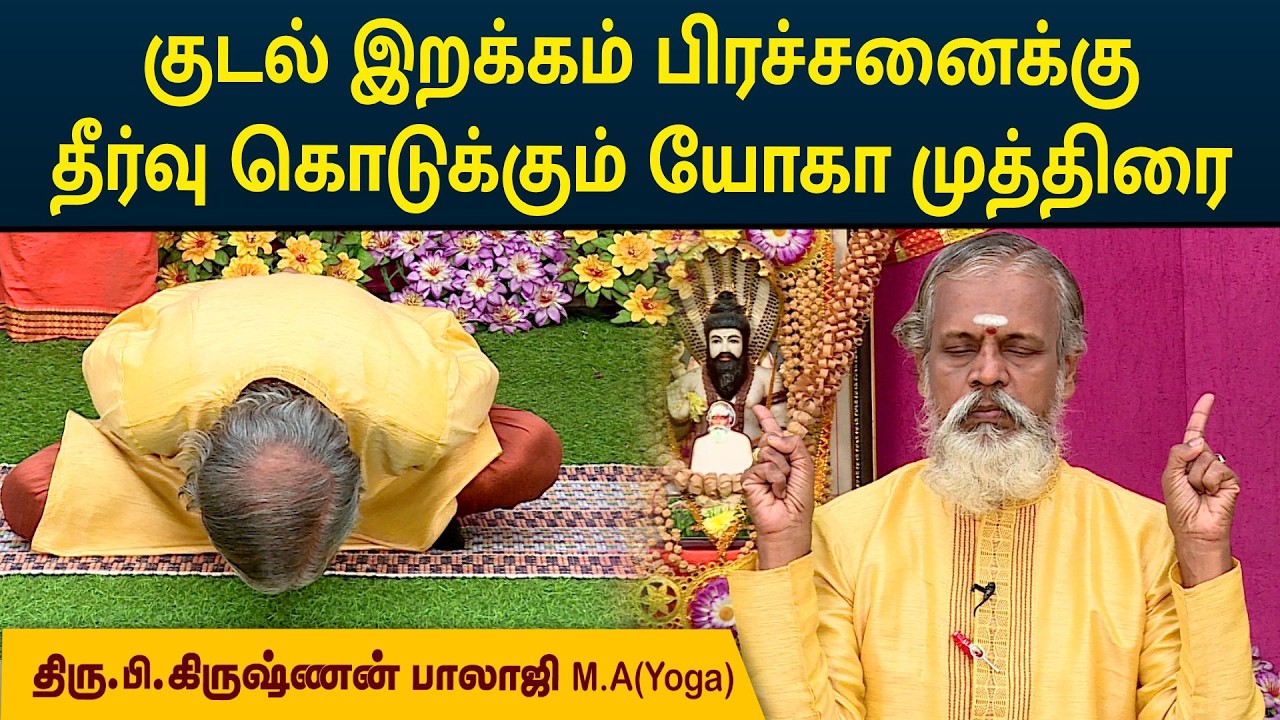 குடல் இறக்கம் பிரச்சனைக்கு தீர்வு கொடுக்கும் யோகா முத்திரை | Krishnan Balaji | MEGA TV