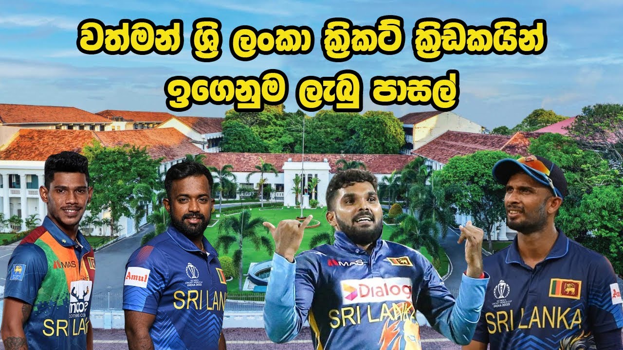 ශ්‍රී ලංකා ක්‍රිකට් ක්‍රීඩකයන් ඉගෙනුමලත් පාසැල්  | Sri Lankan Cricketers Schools #cricket