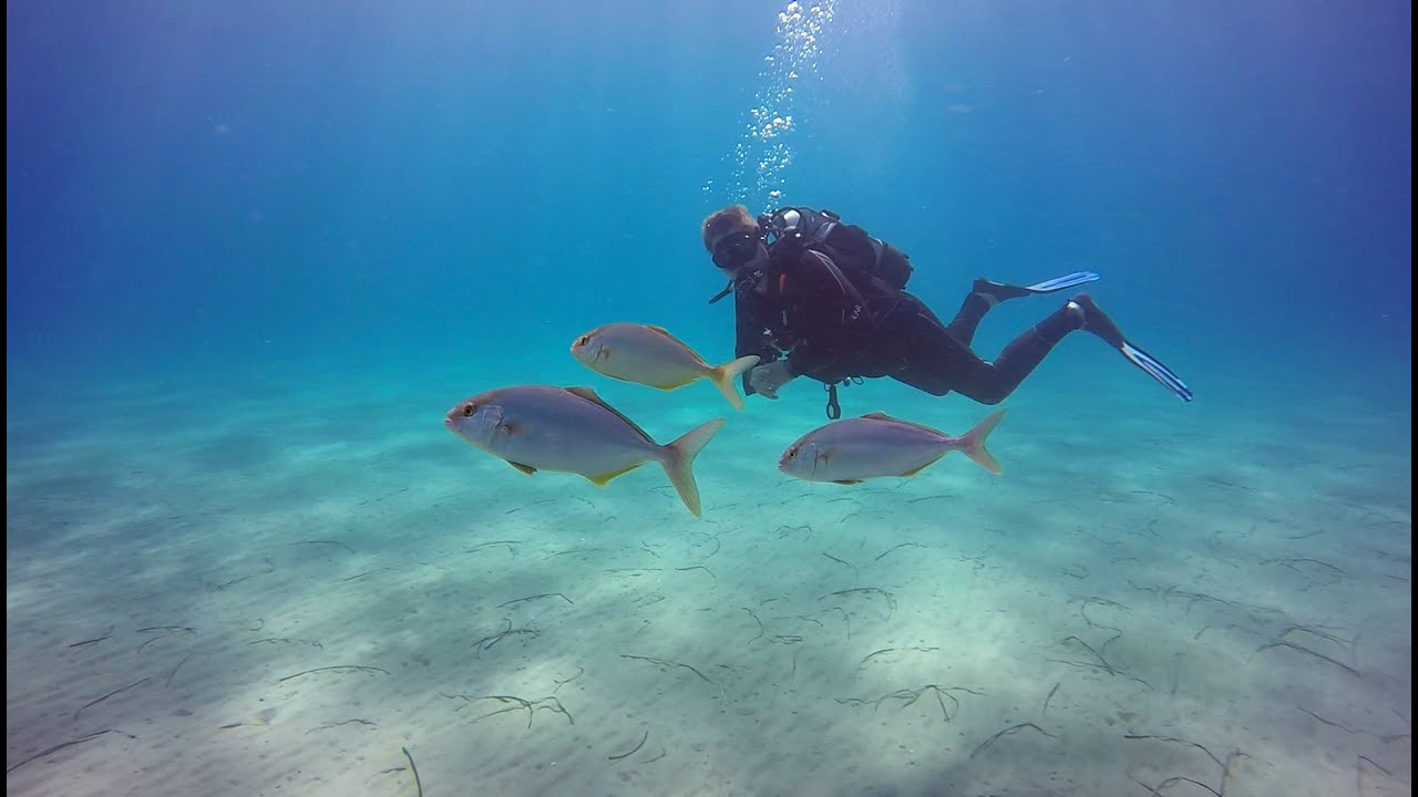 Samos Beneath the Surface - 2