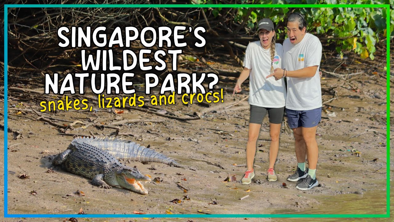 THE BEST OF SINGAPORE'S NATURE?? // CONFRONTED BY SNAKES, LIZARDS AND CROCS AT SUNGEI BULOH WETLANDS