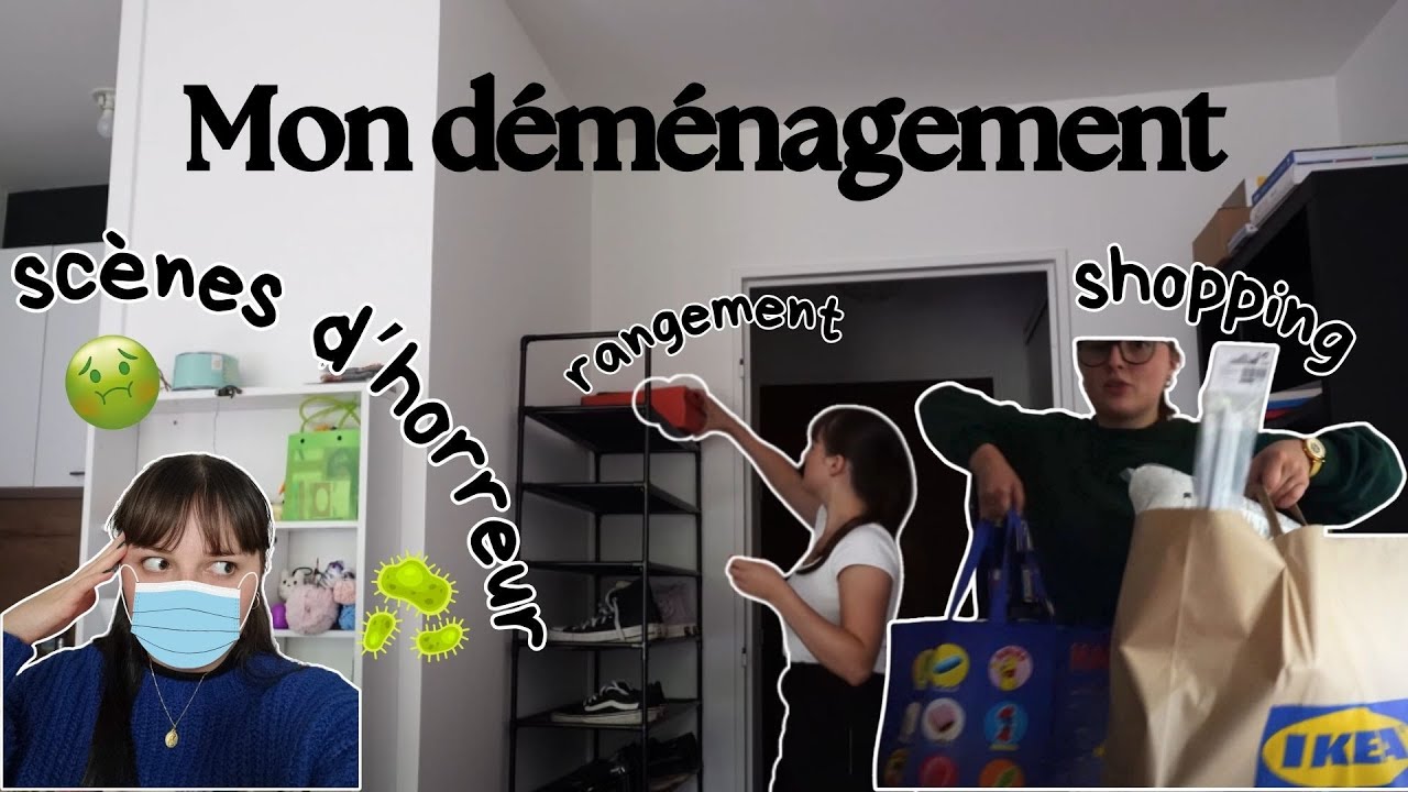 VLOG déménagement 3/4