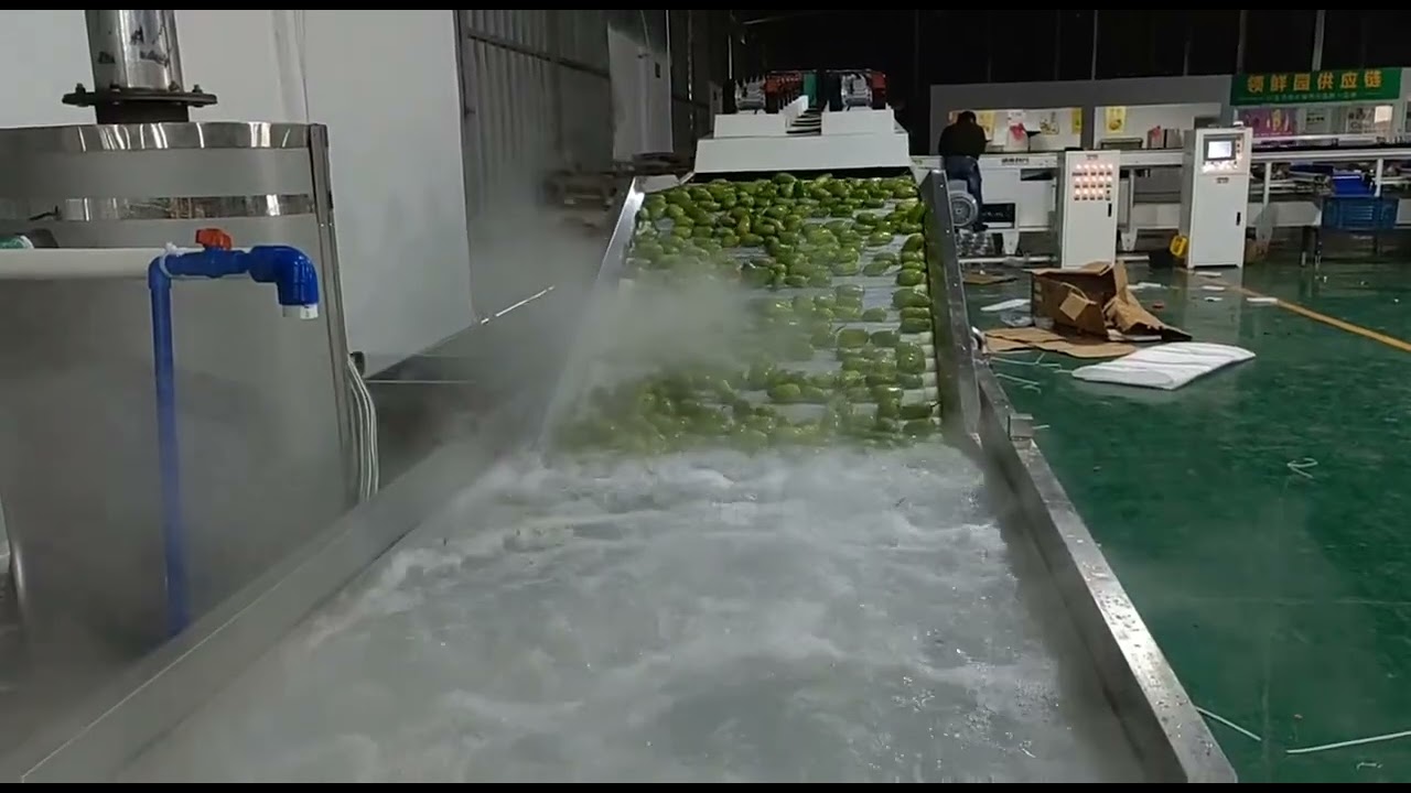Mango Washing Processing Machines