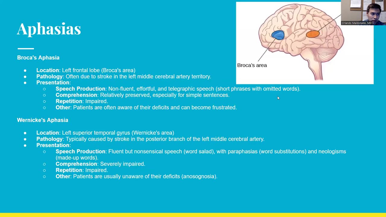 PRITE Review: Neurology and Psychotic Disorders