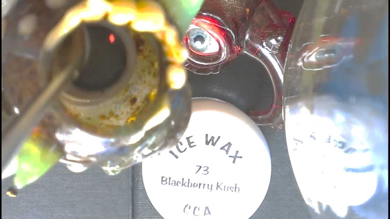 BLACKBERRY KUSH ICE WAX 73 MICRON