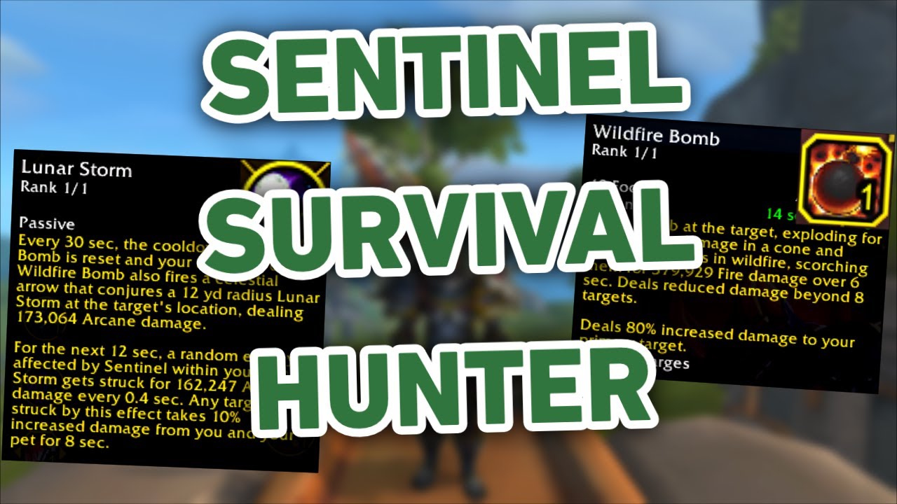 ВЫЗОВИТЕ БУРЮ! | Sentinel Survival Hunter