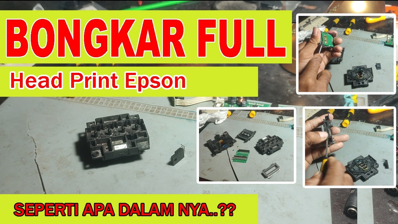 Bongkar Full Isi Dalam Head Print Epson