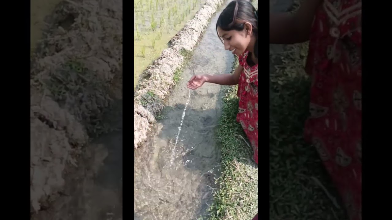 কই চুরি করতে গিয়ে ধরা পড়ে গেলাম মালিকের কাছে #😭😭