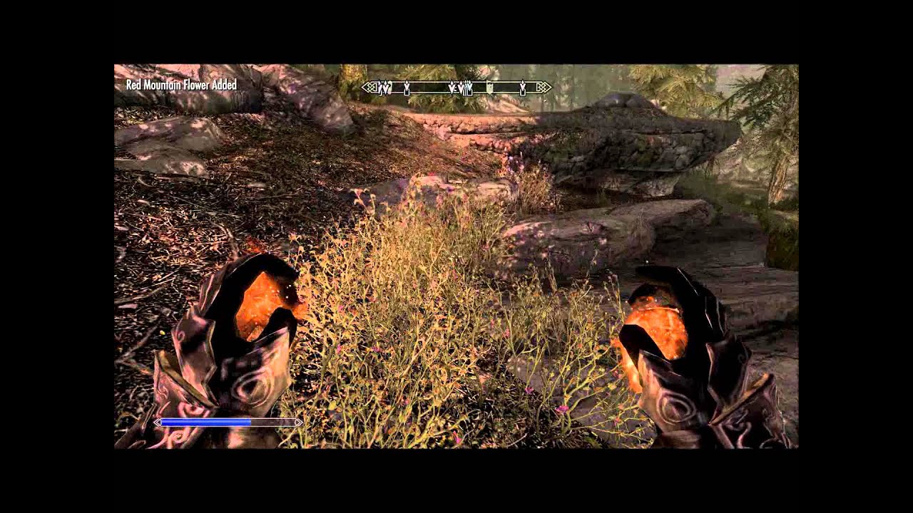 Let's Play Skyrim Part 75: Evergreen Grove