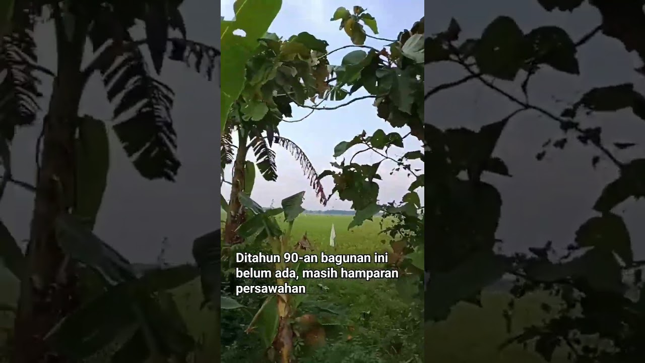 sawah jadi gedung sekolah #tempatwisatamurahdikantong#carigratisan#