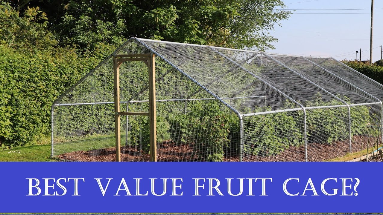 Our best value fruit cage, Cheaper, stronger, longer lasting (by Garden Life Direct)