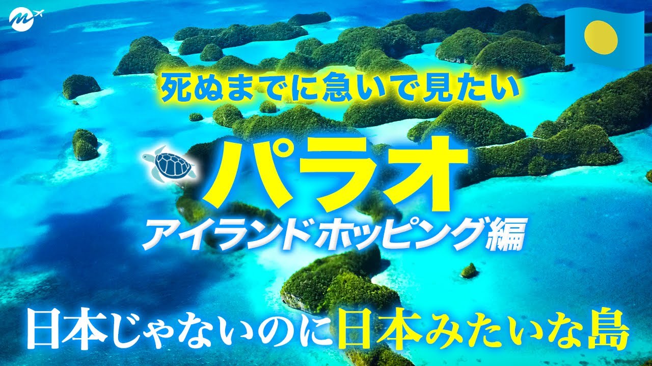 世界一親日国！パラオ共和国3泊4日旅行アイランドホッピング編-絶景・グルメと最高すぎる人気海外ビーチリゾート【シュノーケリング・ロックアイランド】【ちょいもーりー】