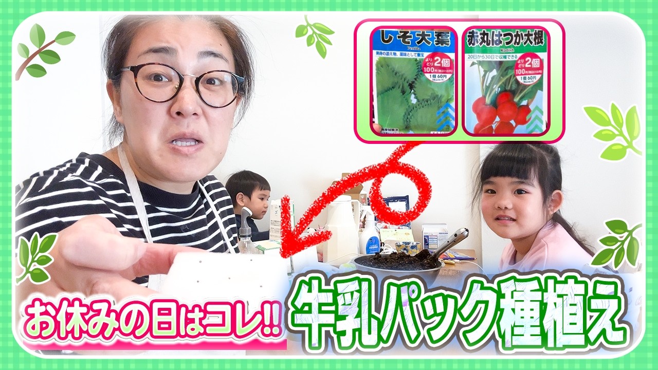 【今日は風邪でお休み🤧】おウチ時間で牛乳パック菜園をしてゆっくり過ごします🪴