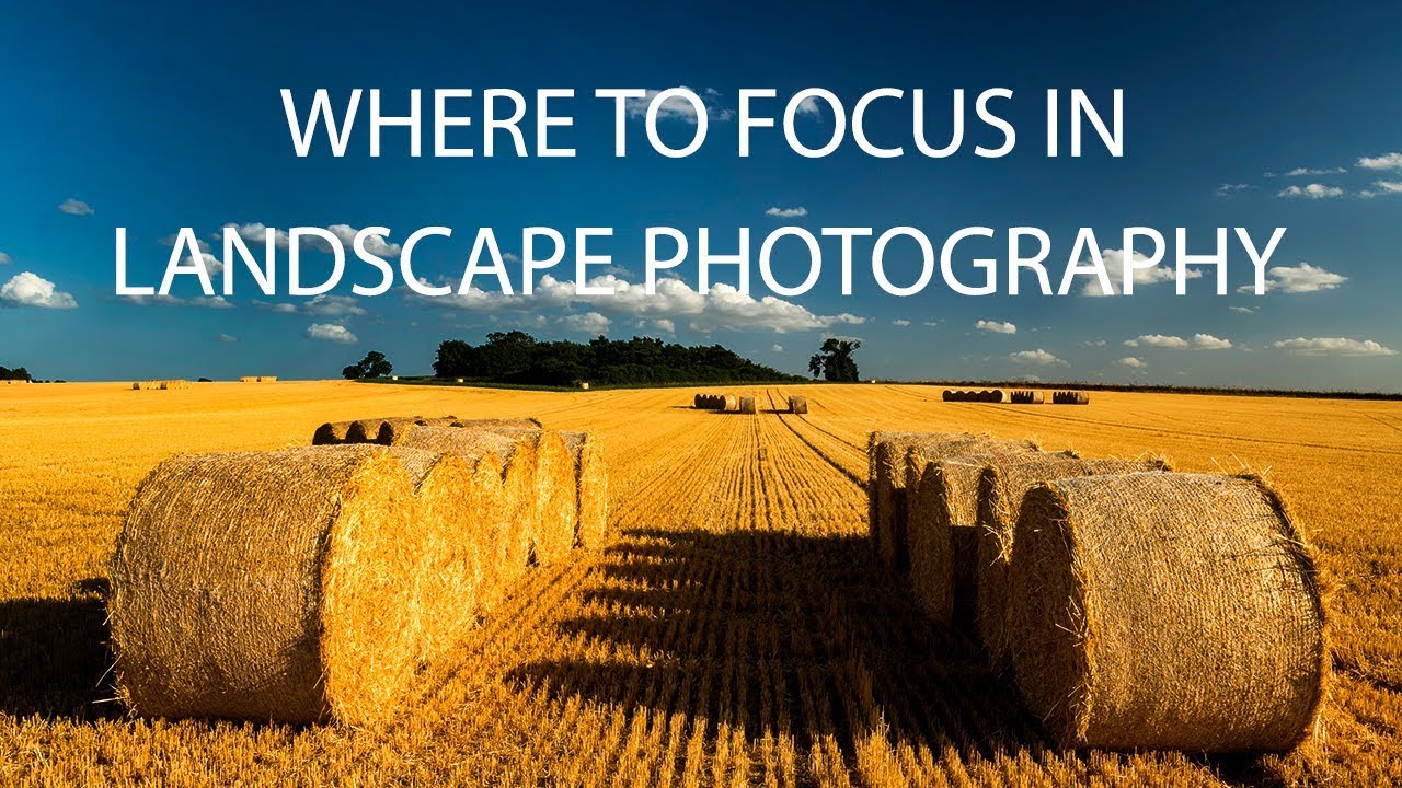 Where to focus in landscape photography