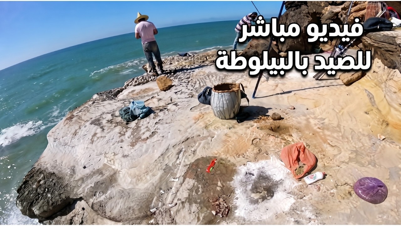 الرايس عثمان و الرايس إدريس في فيديو مباشر للصيد بالبيلوطة