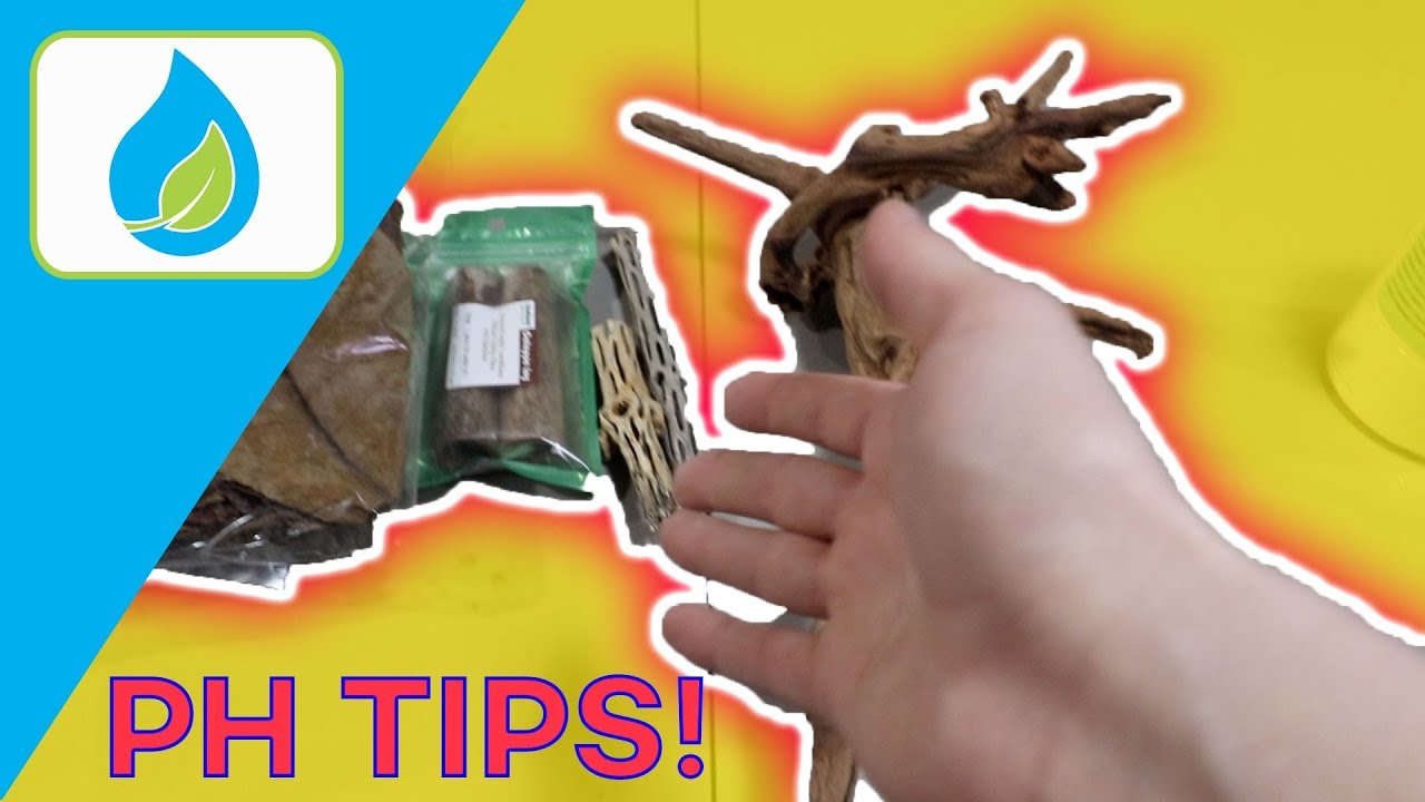 LOWER PH / RAISE PH WITH PRODUCTS HOW TO | QUICK TIP 008