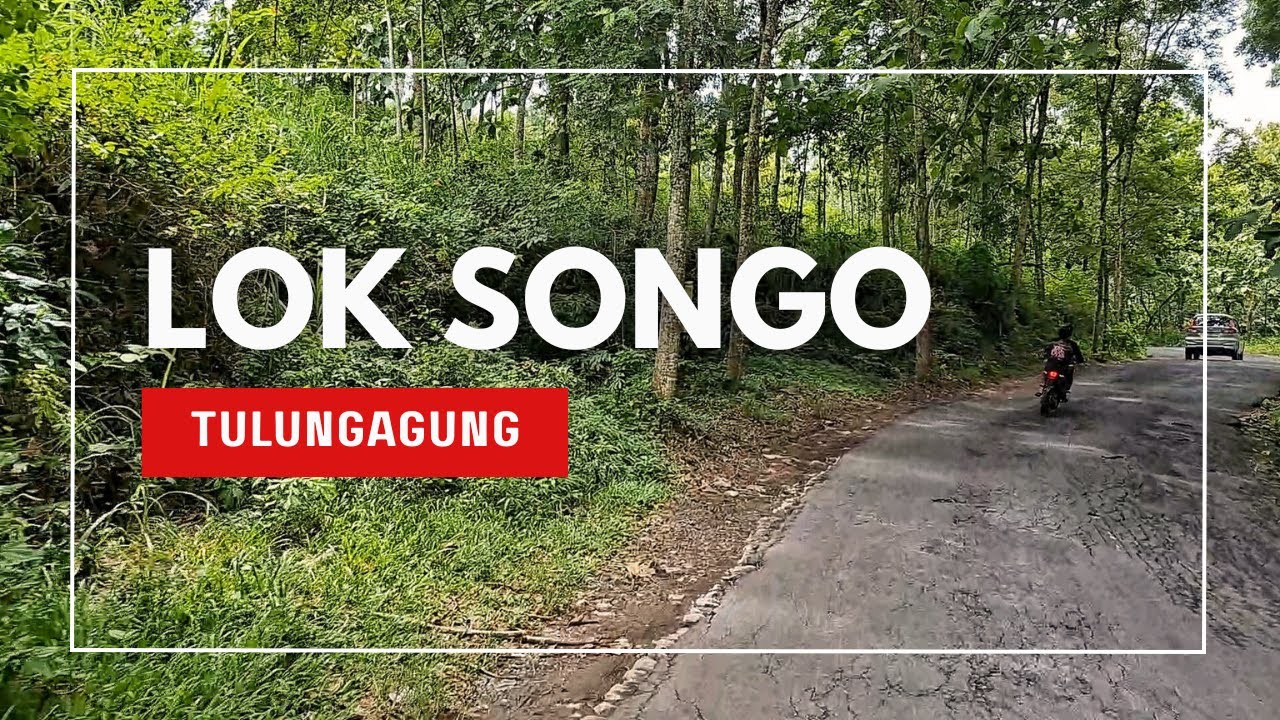 Kondisi terkini jalan Lok Songo | Tulungagung | 2026