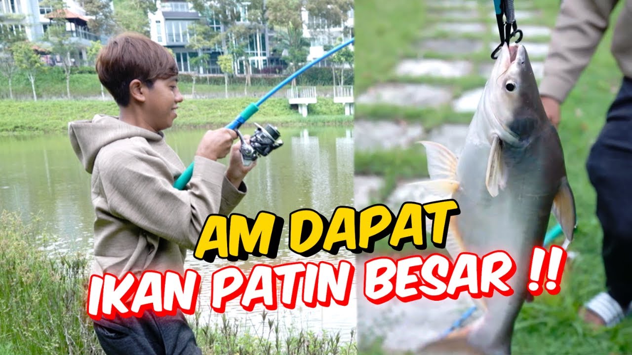 AM DAPAT IKAN PATIN BESAR !! - TEAM AMMAR NAZHAN MANCING !