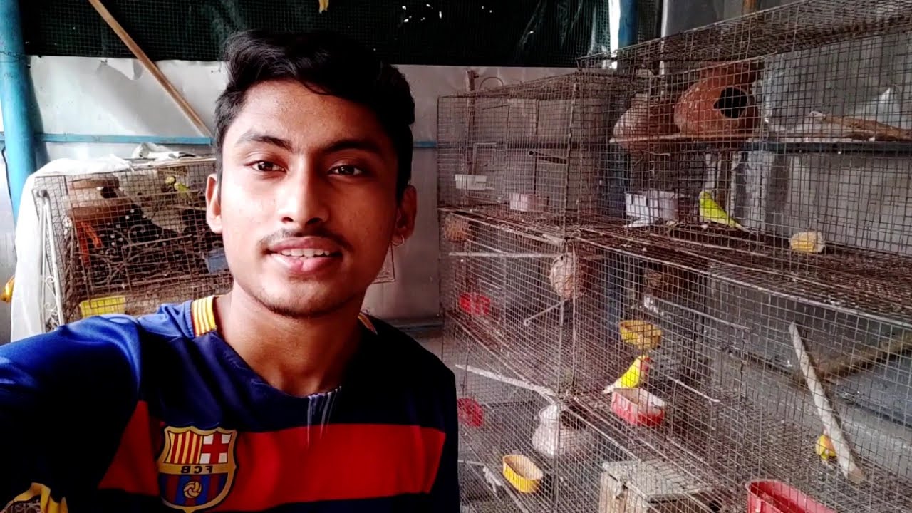 Birds set up Cleaning time 🔥